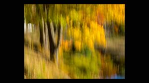 Impressionistic Fall Colors Witch Hole Pond